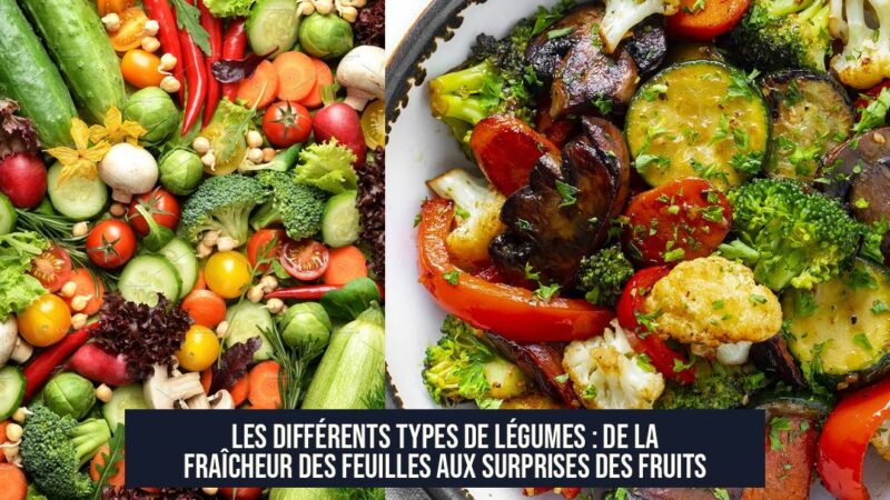 Les Différents Types de Légumes : De la Fraîcheur des Feuilles aux Surprises des Fruits