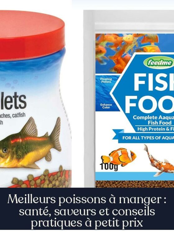 Meilleurs poissons à manger : santé, saveurs et conseils pratiques à petit prix