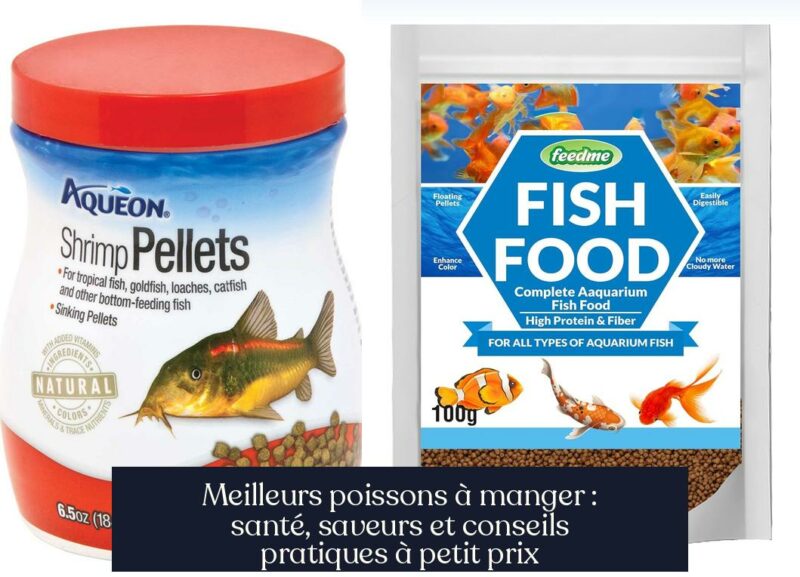 Meilleurs poissons à manger : santé, saveurs et conseils pratiques à petit prix