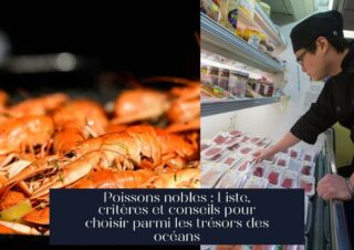 Poissons nobles : Liste, critères et conseils pour choisir parmi les trésors des océans