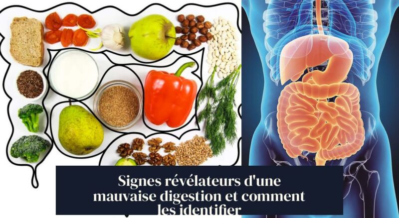 Signes révélateurs d'une mauvaise digestion et comment les identifier