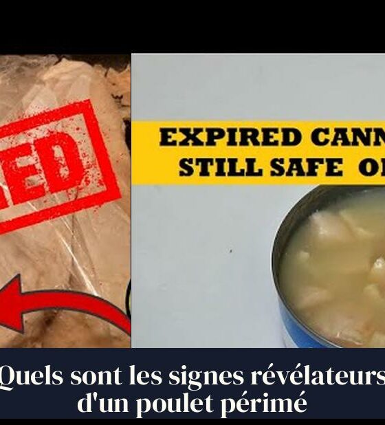 Quels sont les signes révélateurs d'un poulet périmé