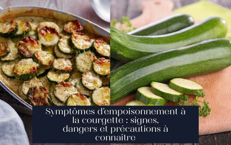 Symptômes d'empoisonnement à la courgette : signes, dangers et précautions à connaître