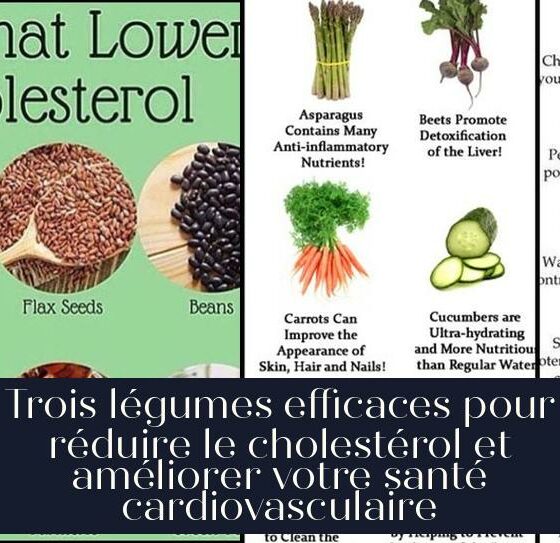 Trois légumes efficaces pour réduire le cholestérol et améliorer votre santé cardiovasculaire