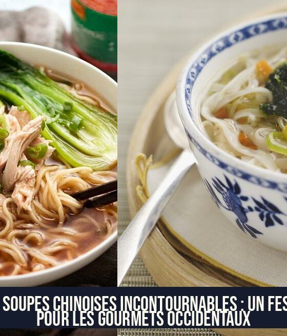 Les soupes chinoises incontournables : un festin pour les gourmets occidentaux