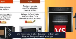 Qui consomme le plus d'énergie : le four ou le Cookeo Comparaison et avantages.