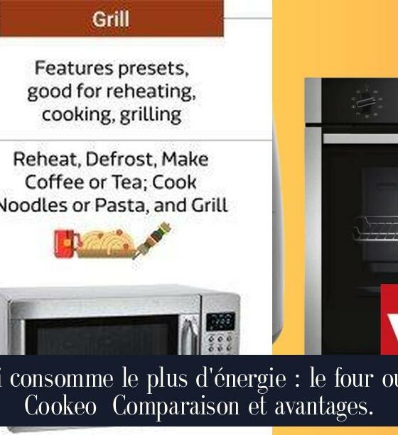 Qui consomme le plus d'énergie : le four ou le Cookeo Comparaison et avantages.