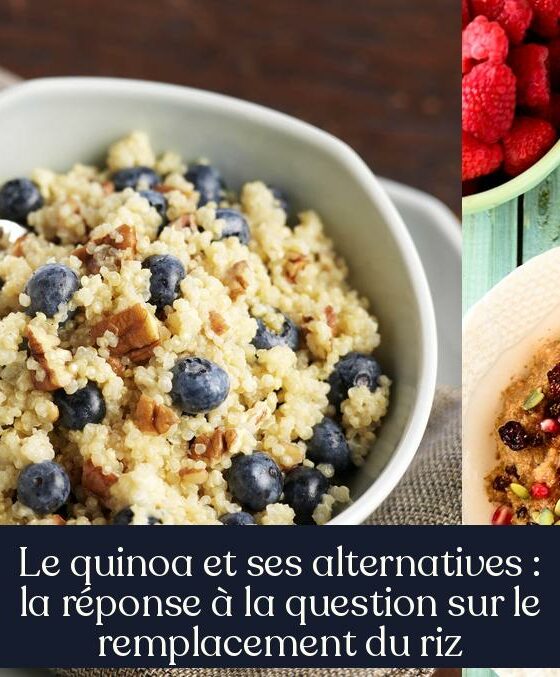 Le quinoa et ses alternatives : la réponse à la question sur le remplacement du riz