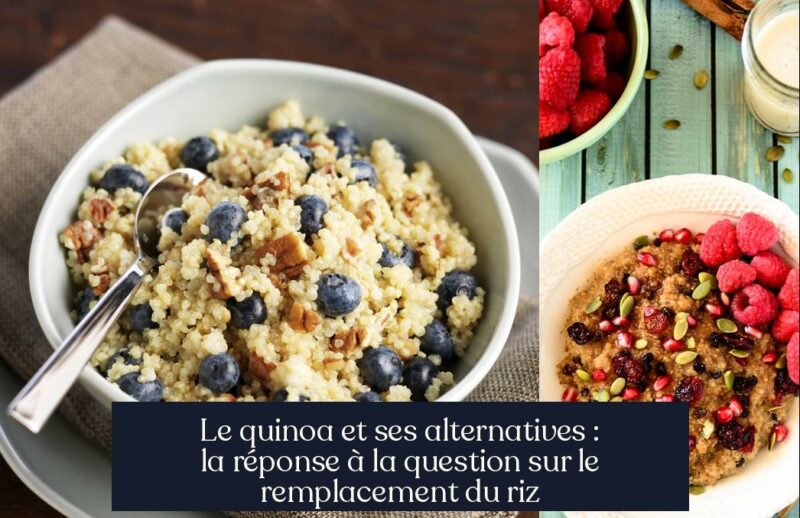 Le quinoa et ses alternatives : la réponse à la question sur le remplacement du riz
