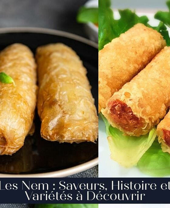 Les Nem : Saveurs, Histoire et Variétés à Découvrir