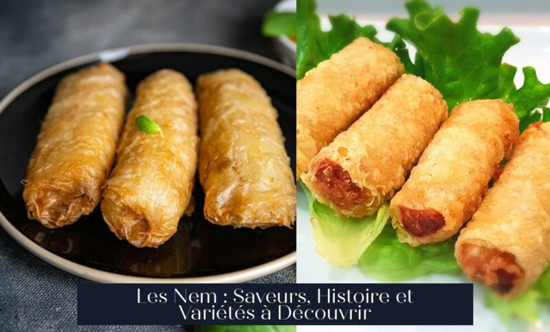 Les Nem : Saveurs, Histoire et Variétés à Découvrir