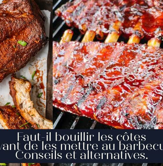 Faut-il bouillir les côtes avant de les mettre au barbecue Conseils et alternatives.