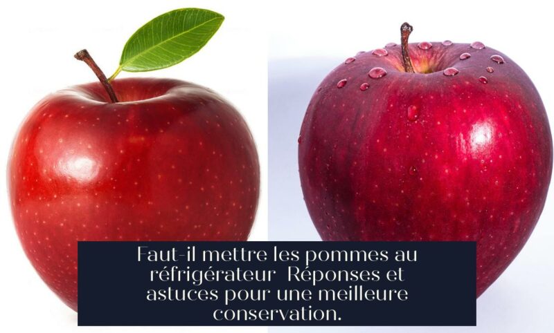 Faut-il mettre les pommes au réfrigérateur Réponses et astuces pour une meilleure conservation.
