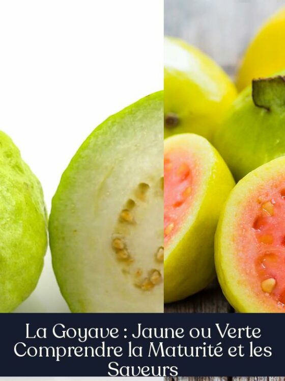 La Goyave : Jaune ou Verte Comprendre la Maturité et les Saveurs