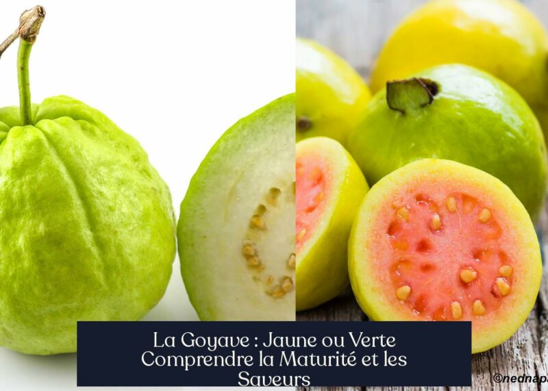 La Goyave : Jaune ou Verte Comprendre la Maturité et les Saveurs