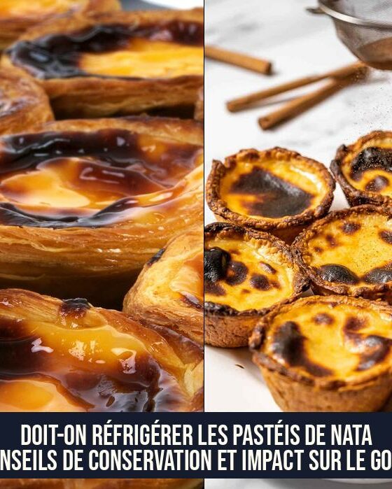 Doit-on réfrigérer les pastéis de nata Conseils de conservation et impact sur le goût