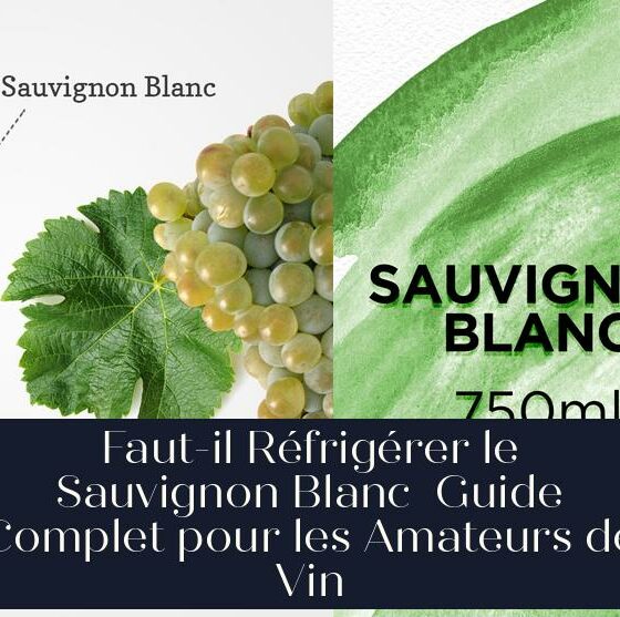 Faut-il Réfrigérer le Sauvignon Blanc Guide Complet pour les Amateurs de Vin