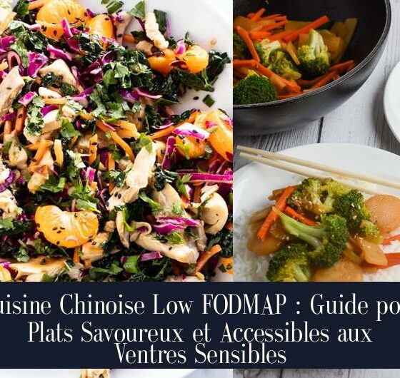 Cuisine Chinoise Low FODMAP : Guide pour Plats Savoureux et Accessibles aux Ventres Sensibles