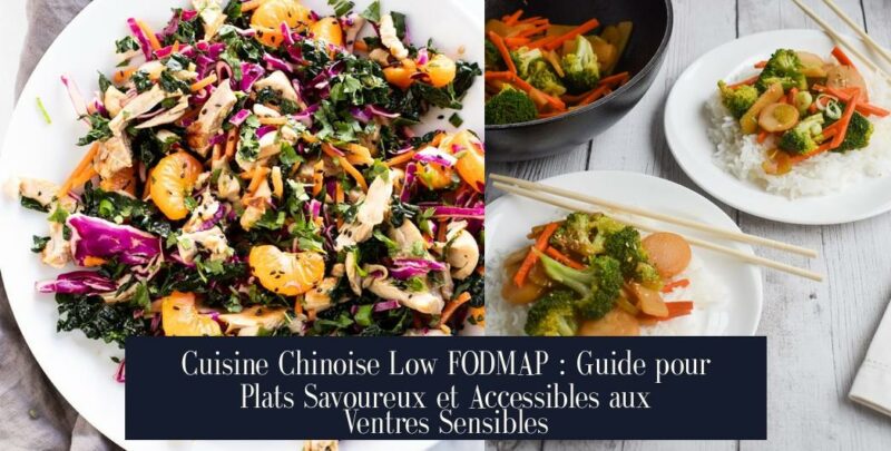 Cuisine Chinoise Low FODMAP : Guide pour Plats Savoureux et Accessibles aux Ventres Sensibles
