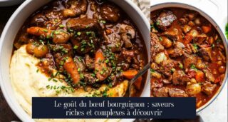 Le goût du bœuf bourguignon : saveurs riches et complexes à découvrir