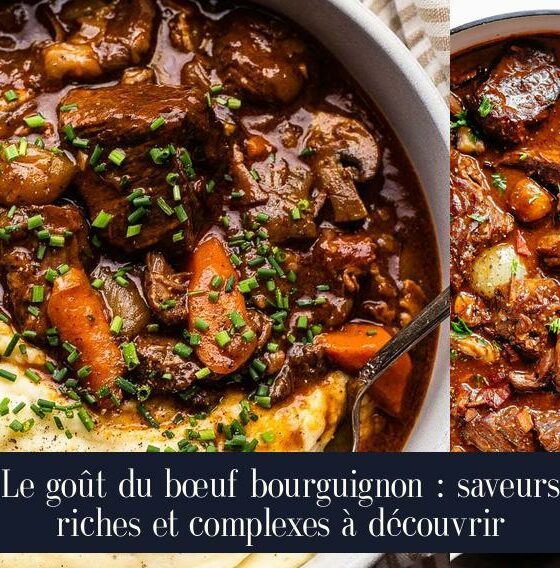 Le goût du bœuf bourguignon : saveurs riches et complexes à découvrir