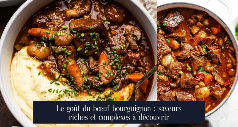 Le goût du bœuf bourguignon : saveurs riches et complexes à découvrir