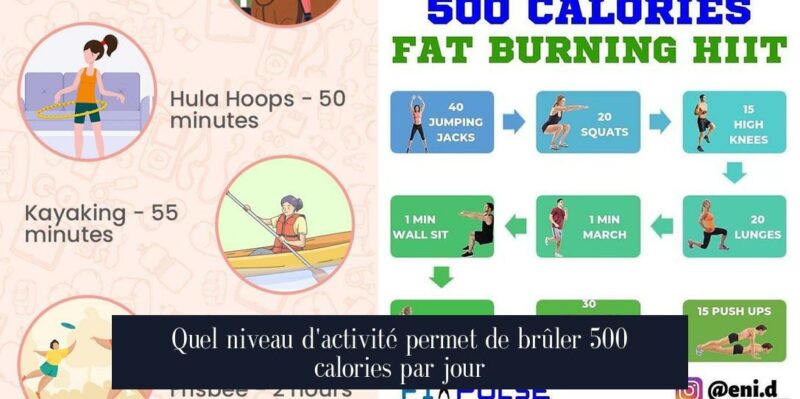 Quel niveau d'activité permet de brûler 500 calories par jour
