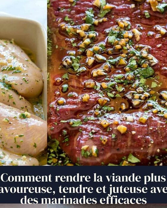 Comment rendre la viande plus savoureuse, tendre et juteuse avec des marinades efficaces
