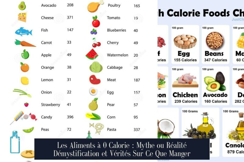 Les Aliments à 0 Calorie : Mythe ou Réalité Démystification et Vérités Sur Ce Que Manger