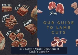 Les 3 Coupes d'Agneau : Gigot, Carré et Épaule à Découvrir