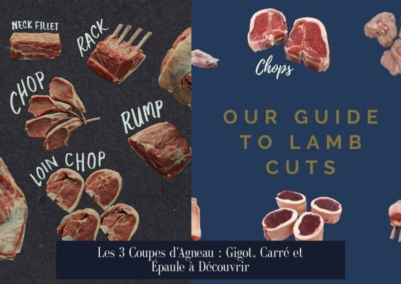 Les 3 Coupes d'Agneau : Gigot, Carré et Épaule à Découvrir