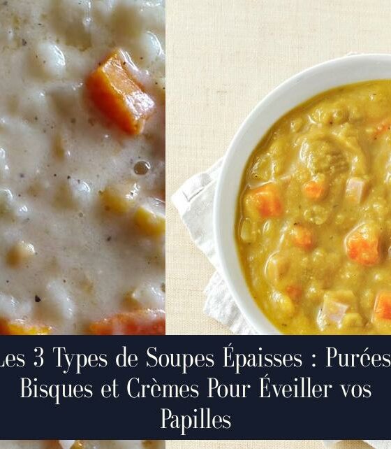 Les 3 Types de Soupes Épaisses : Purées, Bisques et Crèmes Pour Éveiller vos Papilles