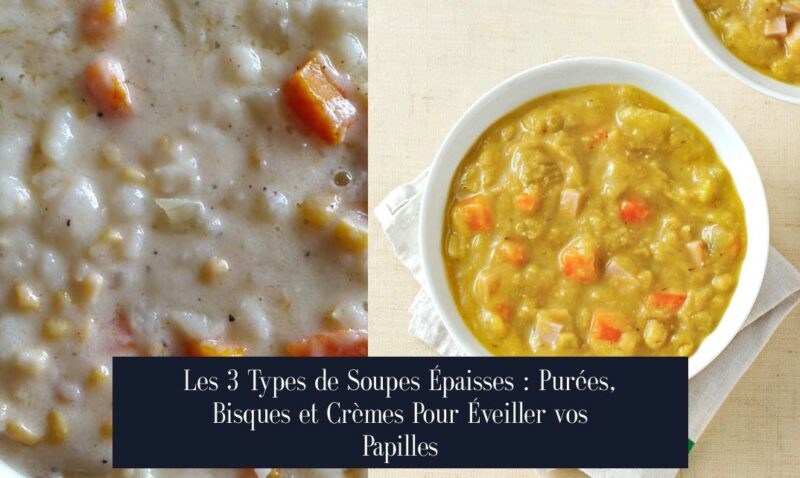 Les 3 Types de Soupes Épaisses : Purées, Bisques et Crèmes Pour Éveiller vos Papilles