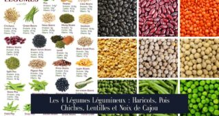 Les 4 Légumes Légumineux : Haricots, Pois Chiches, Lentilles et Noix de Cajou