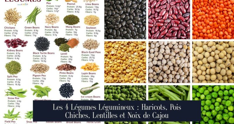 Les 4 Légumes Légumineux : Haricots, Pois Chiches, Lentilles et Noix de Cajou