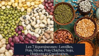 Les 7 légumineuses : Lentilles, Pois, Fèves, Pois Chiches, Soja, Haricots et Cacahuètes.