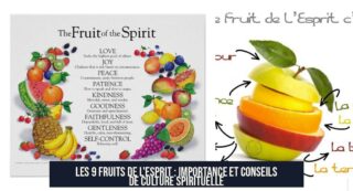 Les 9 Fruits de l'Esprit : Importance et Conseils de Culture Spirituelle