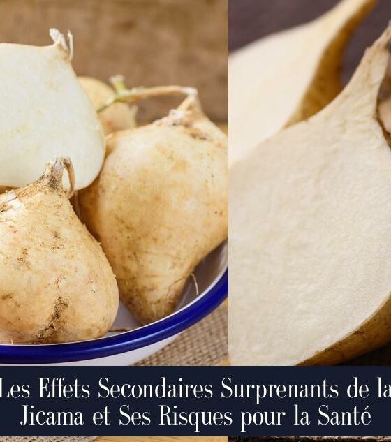 Les Effets Secondaires Surprenants de la Jicama et Ses Risques pour la Santé