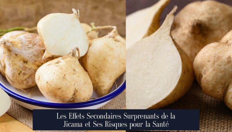 Les Effets Secondaires Surprenants de la Jicama et Ses Risques pour la Santé