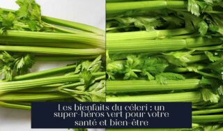 Les bienfaits du céleri : un super-héros vert pour votre santé et bien-être