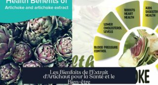 Les Bienfaits de l'Extrait d'Artichaut pour la Santé et le Bien-être