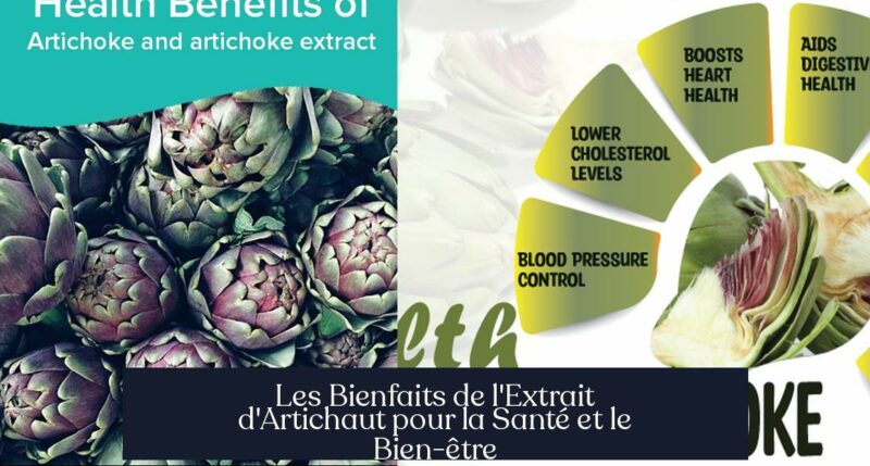 Les Bienfaits de l'Extrait d'Artichaut pour la Santé et le Bien-être