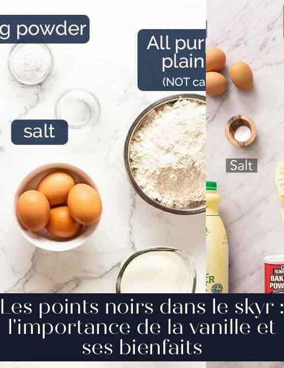 Les points noirs dans le skyr : l'importance de la vanille et ses bienfaits