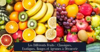 Les Différents Fruits : Classiques, Exotiques, Rouges et Agrumes à Découvrir