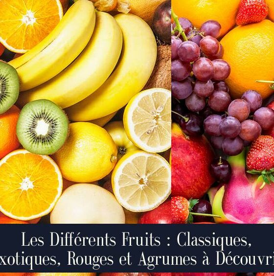 Les Différents Fruits : Classiques, Exotiques, Rouges et Agrumes à Découvrir