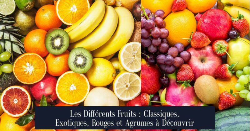 Les Différents Fruits : Classiques, Exotiques, Rouges et Agrumes à Découvrir
