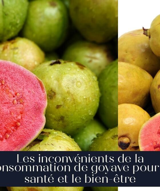 Les inconvénients de la consommation de goyave pour la santé et le bien-être