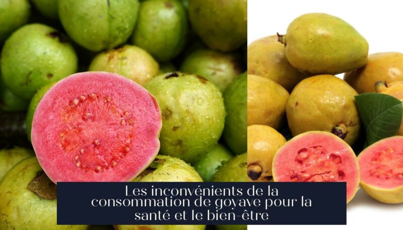 Les inconvénients de la consommation de goyave pour la santé et le bien-être