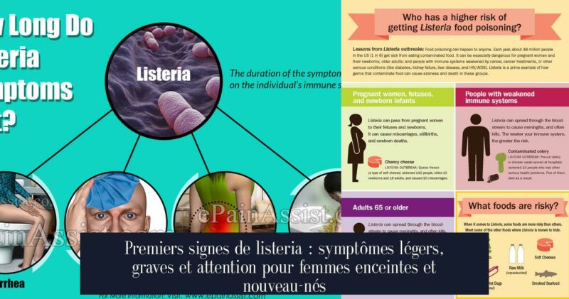 Premiers signes de listeria : symptômes légers, graves et attention pour femmes enceintes et nouveau-nés