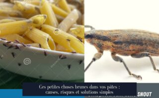 Ces petites choses brunes dans vos pâtes : causes, risques et solutions simples